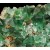 Fluorite Diana Maria Mine - Rogerley M04434